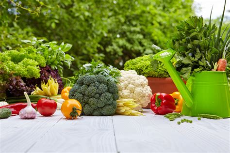  Vegetable Gardening for Beginners: A Journey into Nature's Abundance and Earthly Harmony